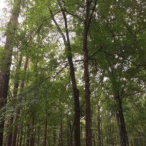 Meet your Posher, Nelina